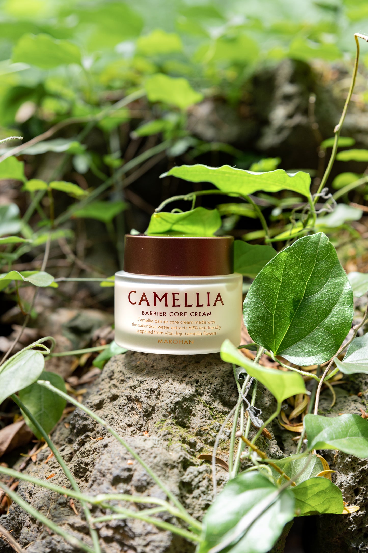 Jeju Camellia Barrier Core Cream 50ml